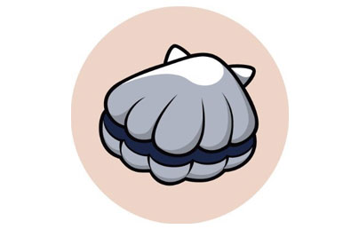 ScallopͼƬ